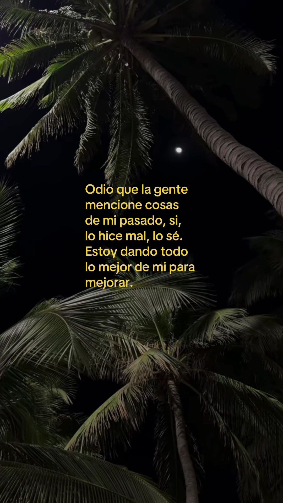 @Mayte_