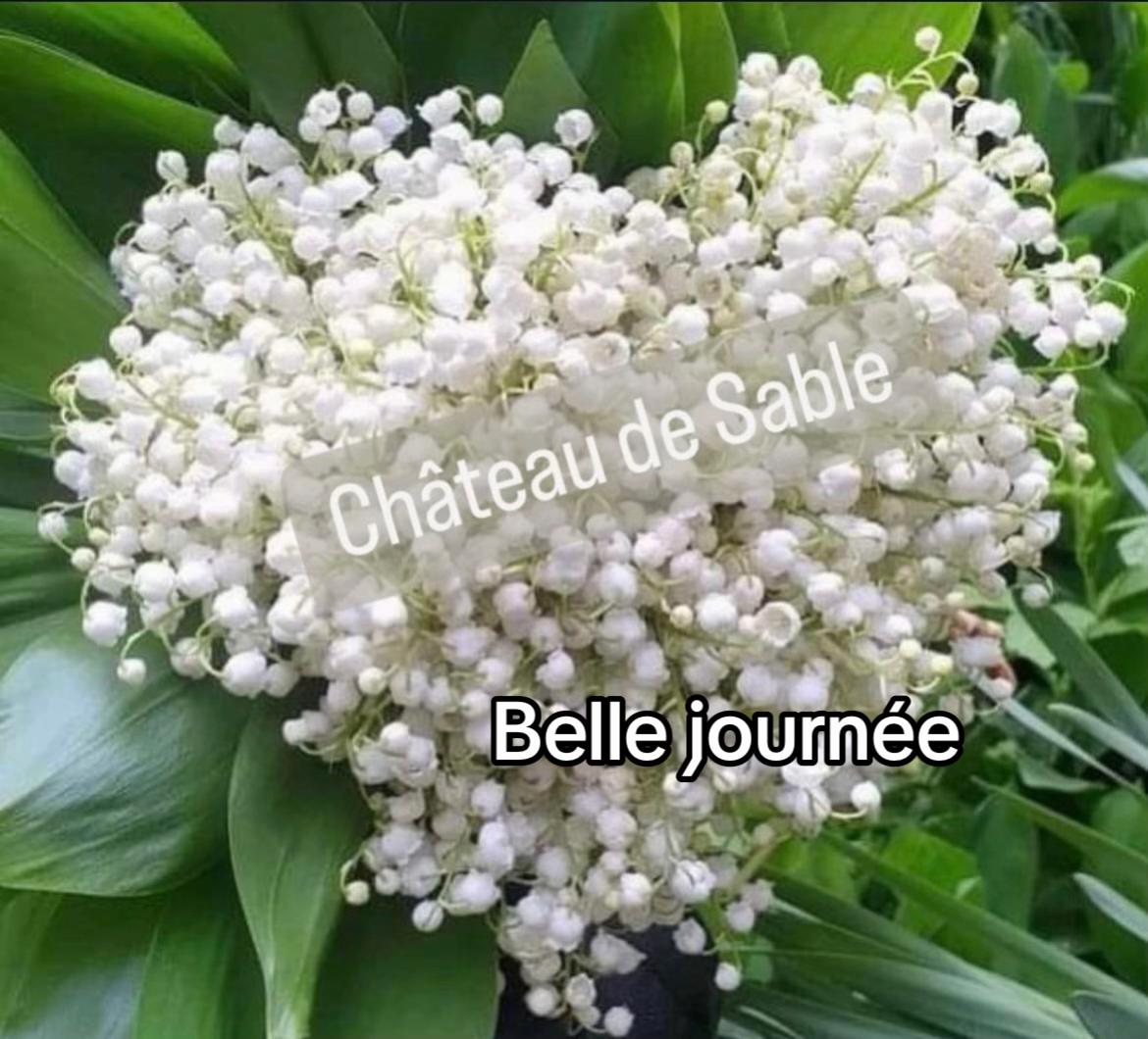 @auchateaudesable