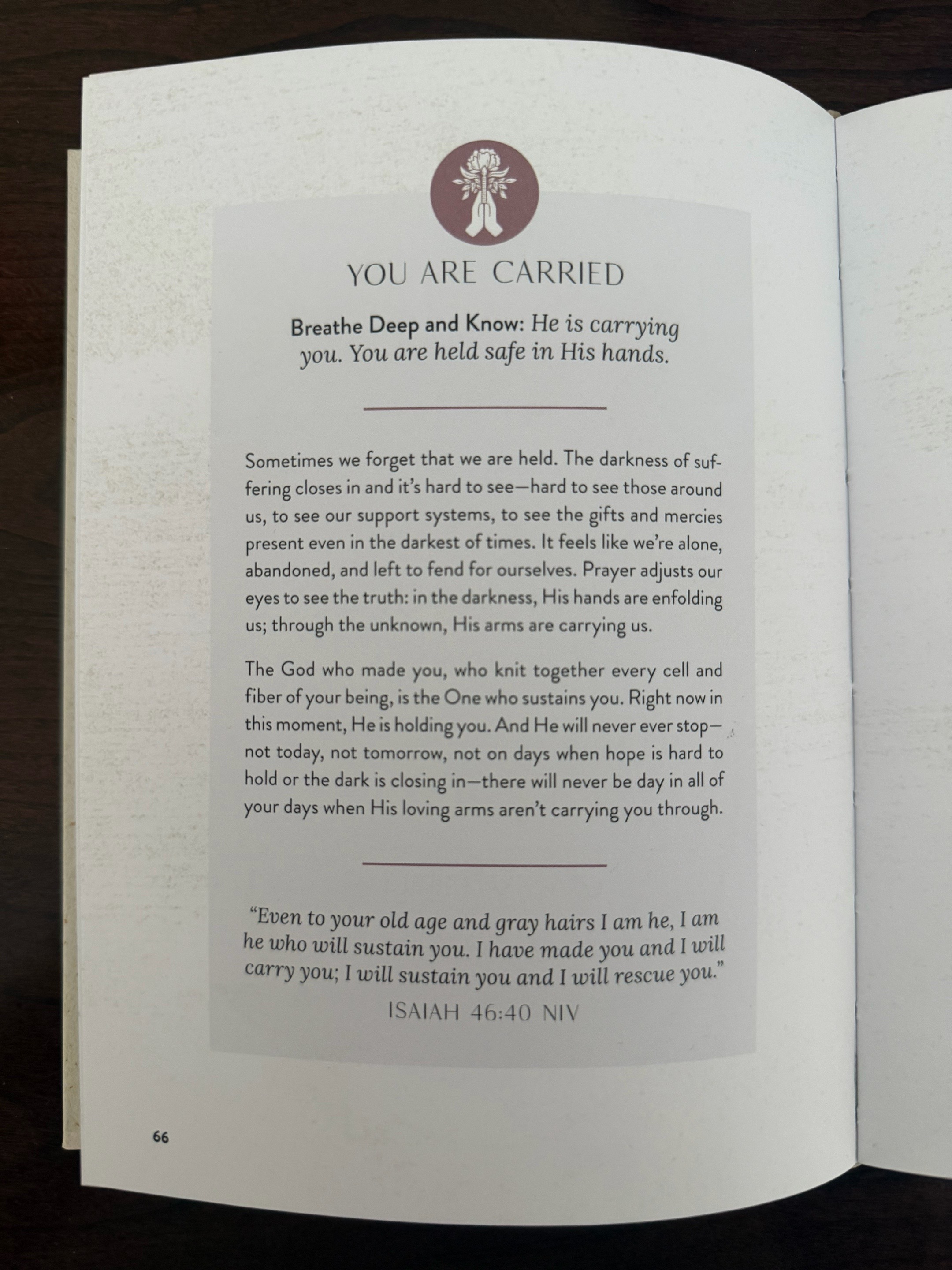 @softly rooted