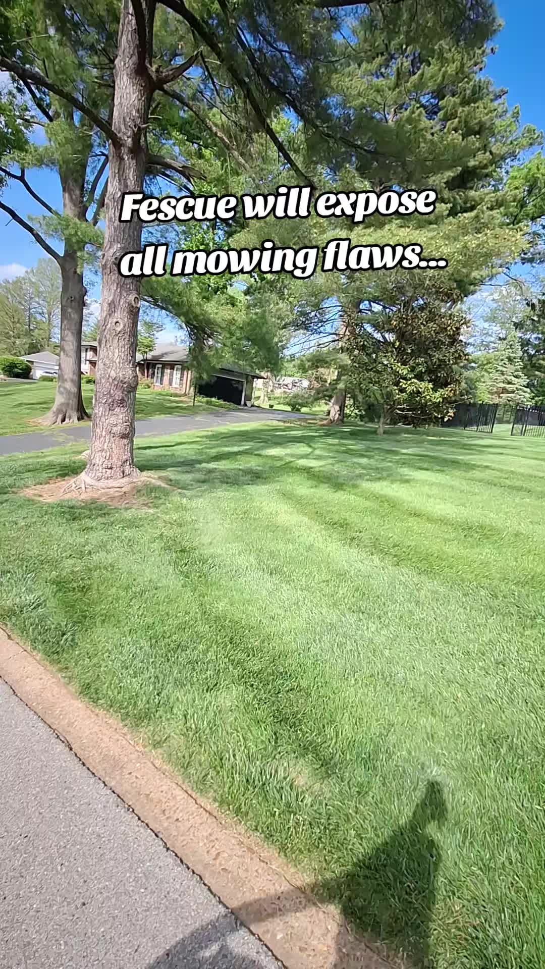 @Stripeleader