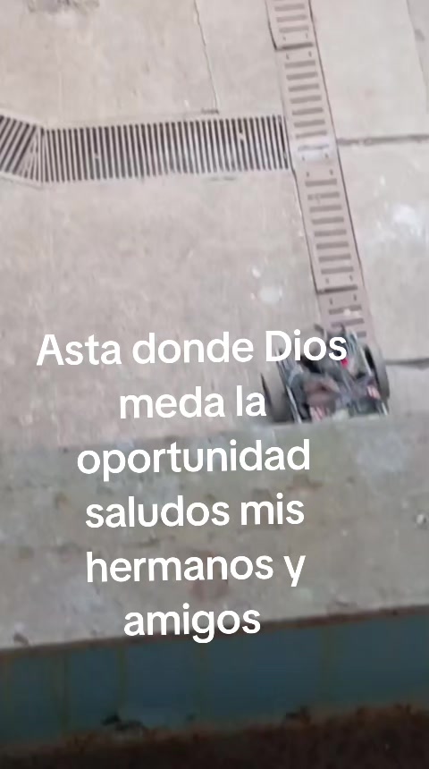 @Evercocyat