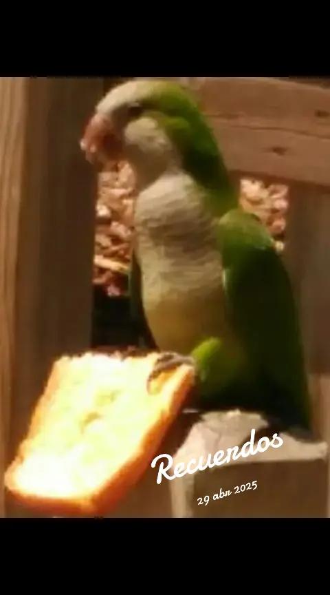 @Katy,Kyra,Jhonny,Lima,Chiqui