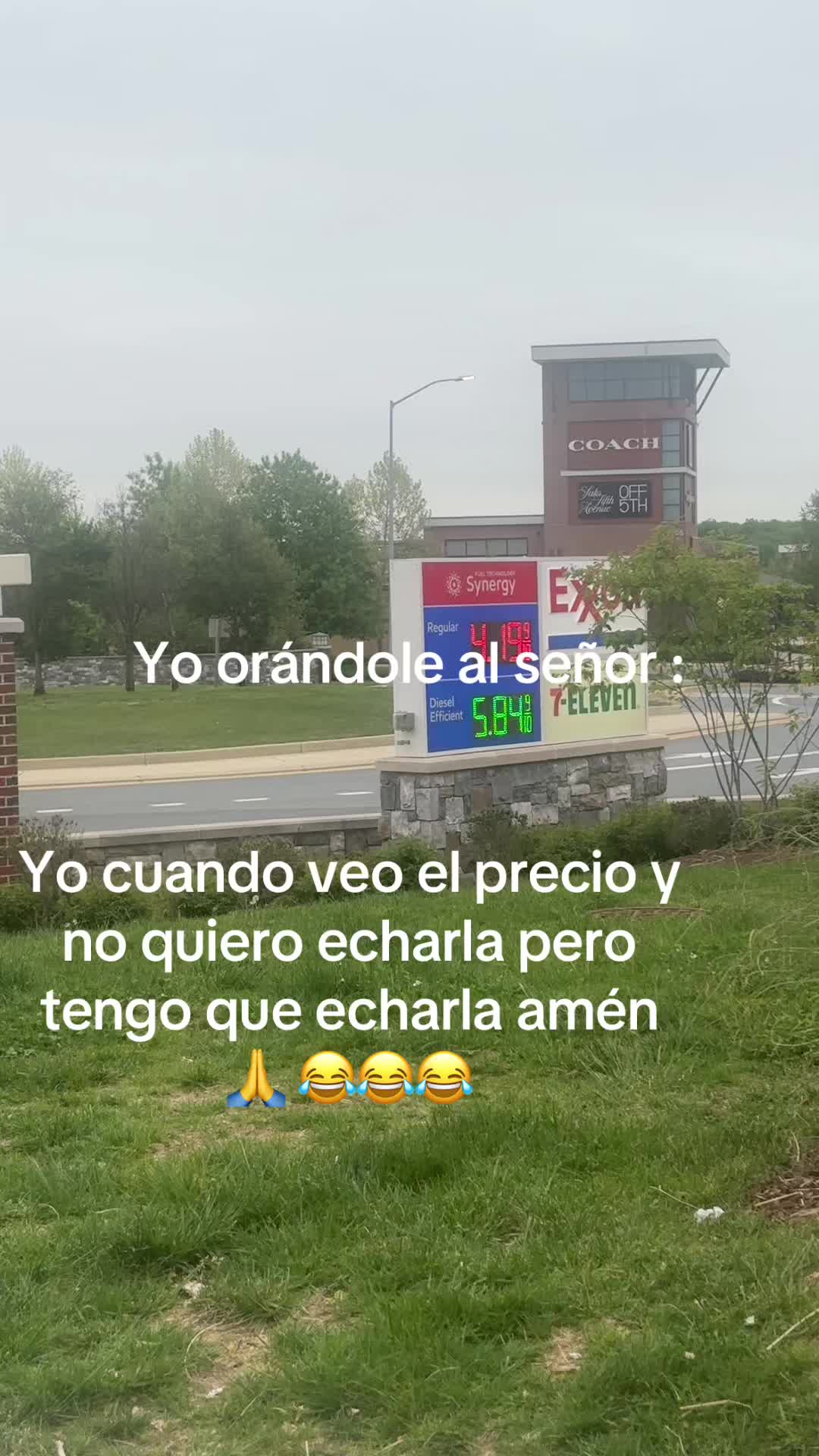 @Glenny Fco 🤣🇩🇴🇩🇴🇺🇸
