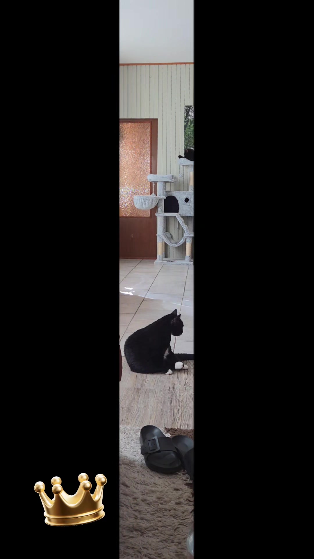 @👑😼Malia Die K&ouml;nigin😼👑