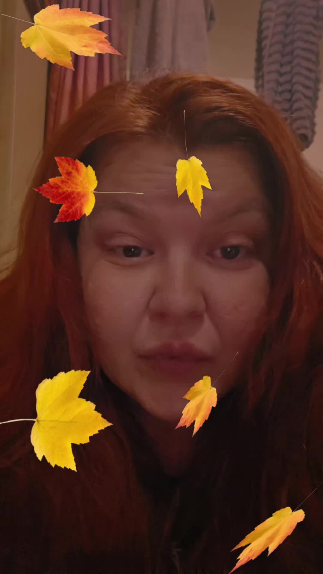 @boobookitty
