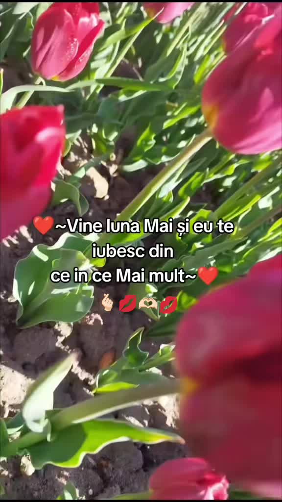 @ღ𝕱𝖑𝖔𝖗𝖞ღ