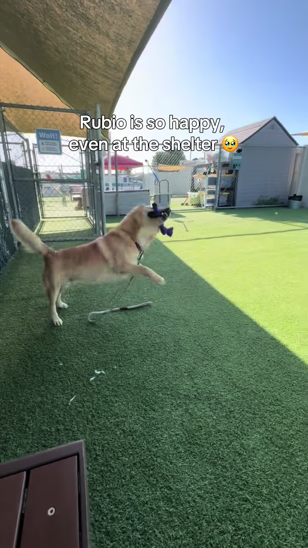 @Ventura County Animal Services