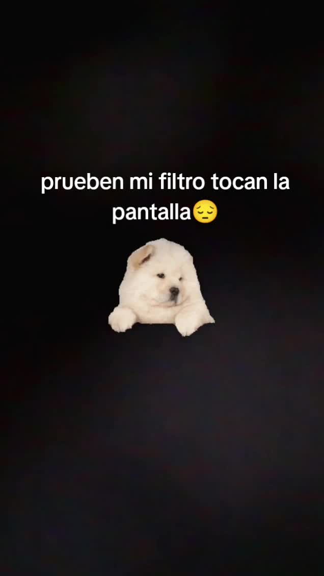 @yuta_filtros