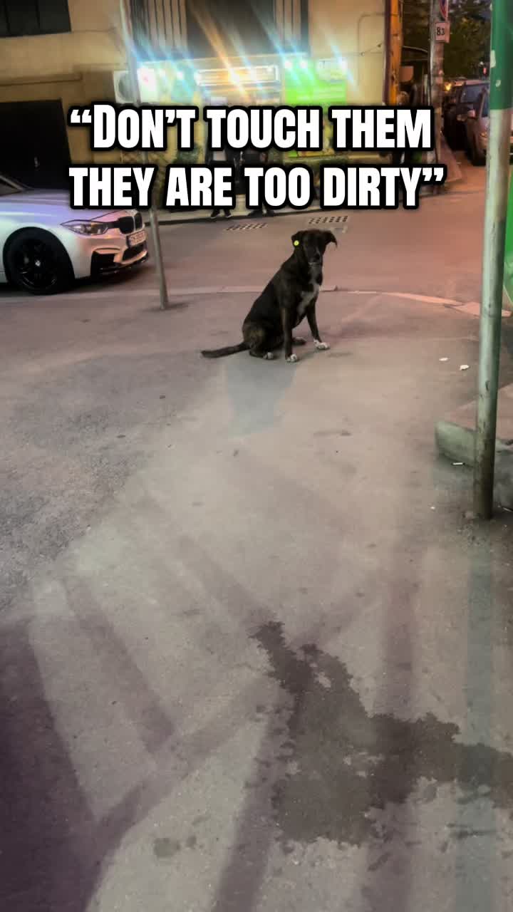 @Nala & Bella 💜