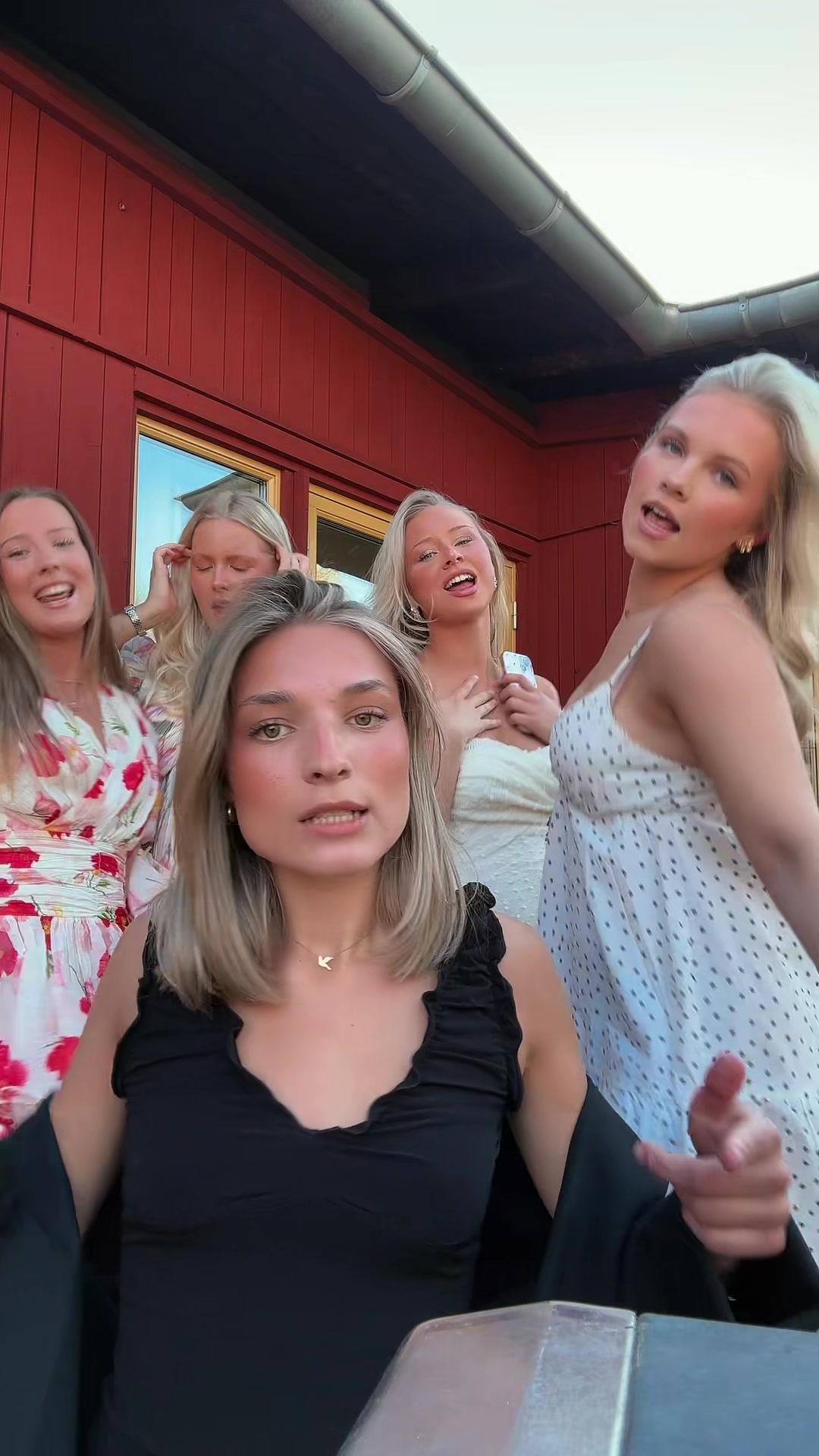 @elsa hellerstedt