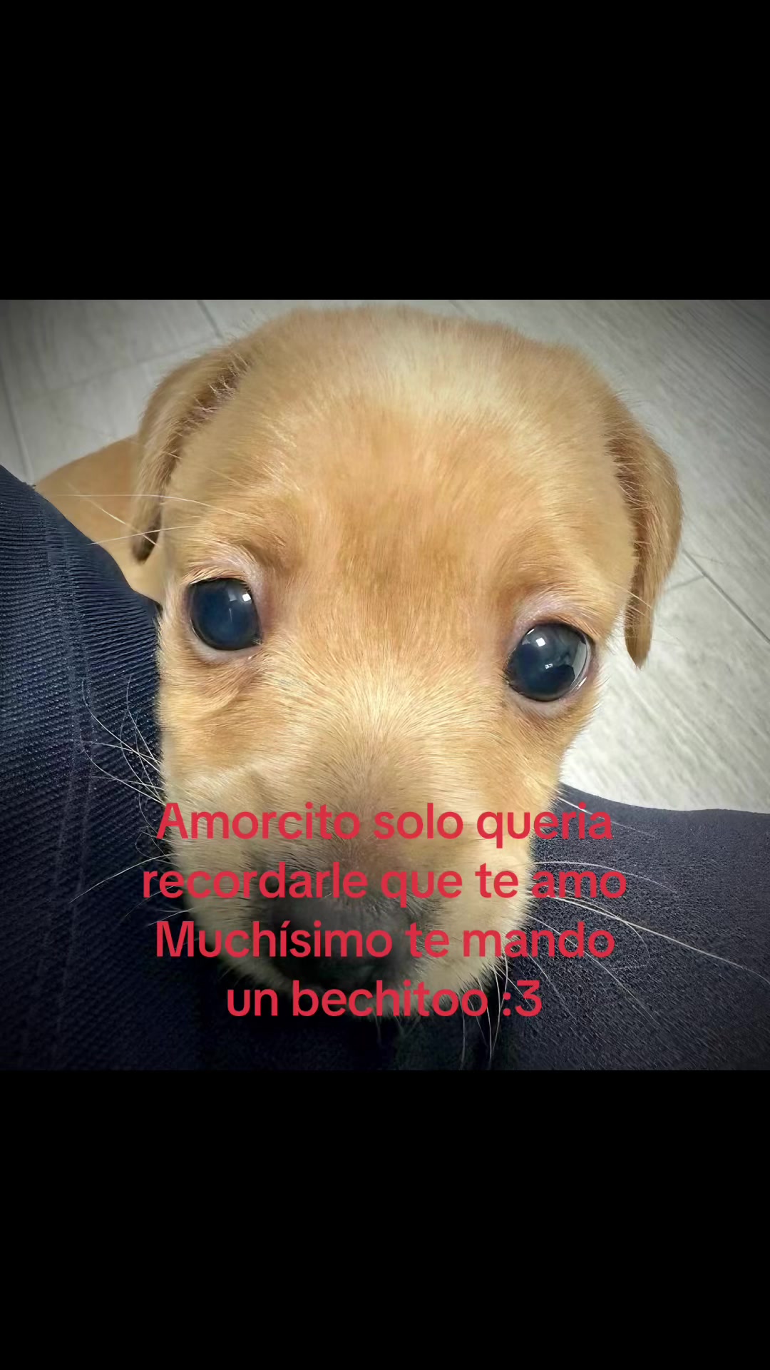 @saulburgosp2.0