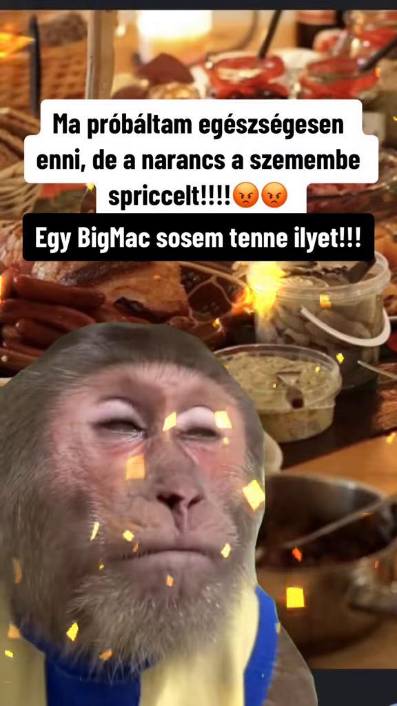 @Nikoletta N&eacute;meth
