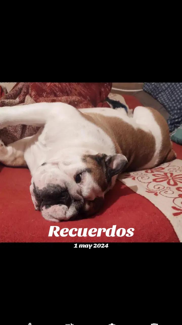 @🪽🪽 Yess Garcia 🥰❤️