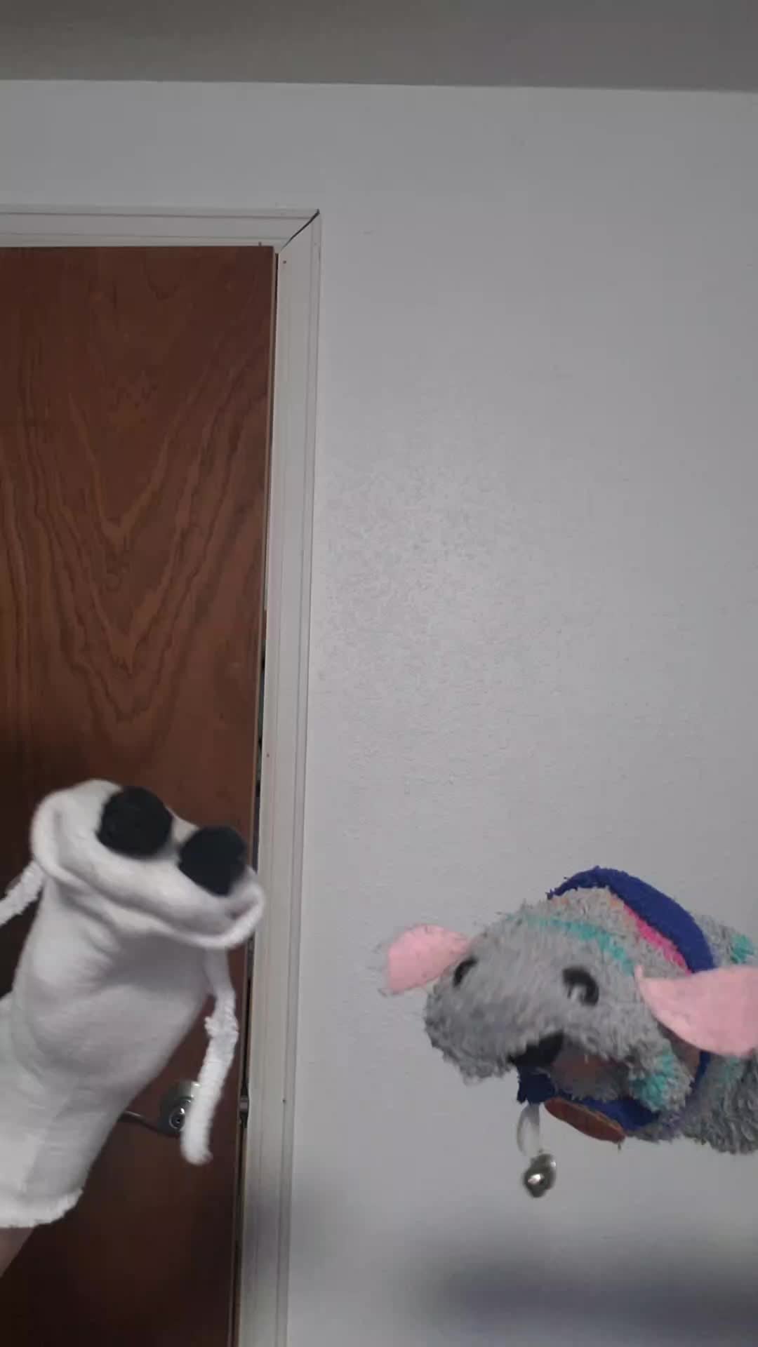@the3puppet33rs