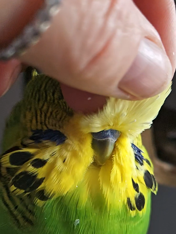 @Run Slow-Mo Charlie🦜