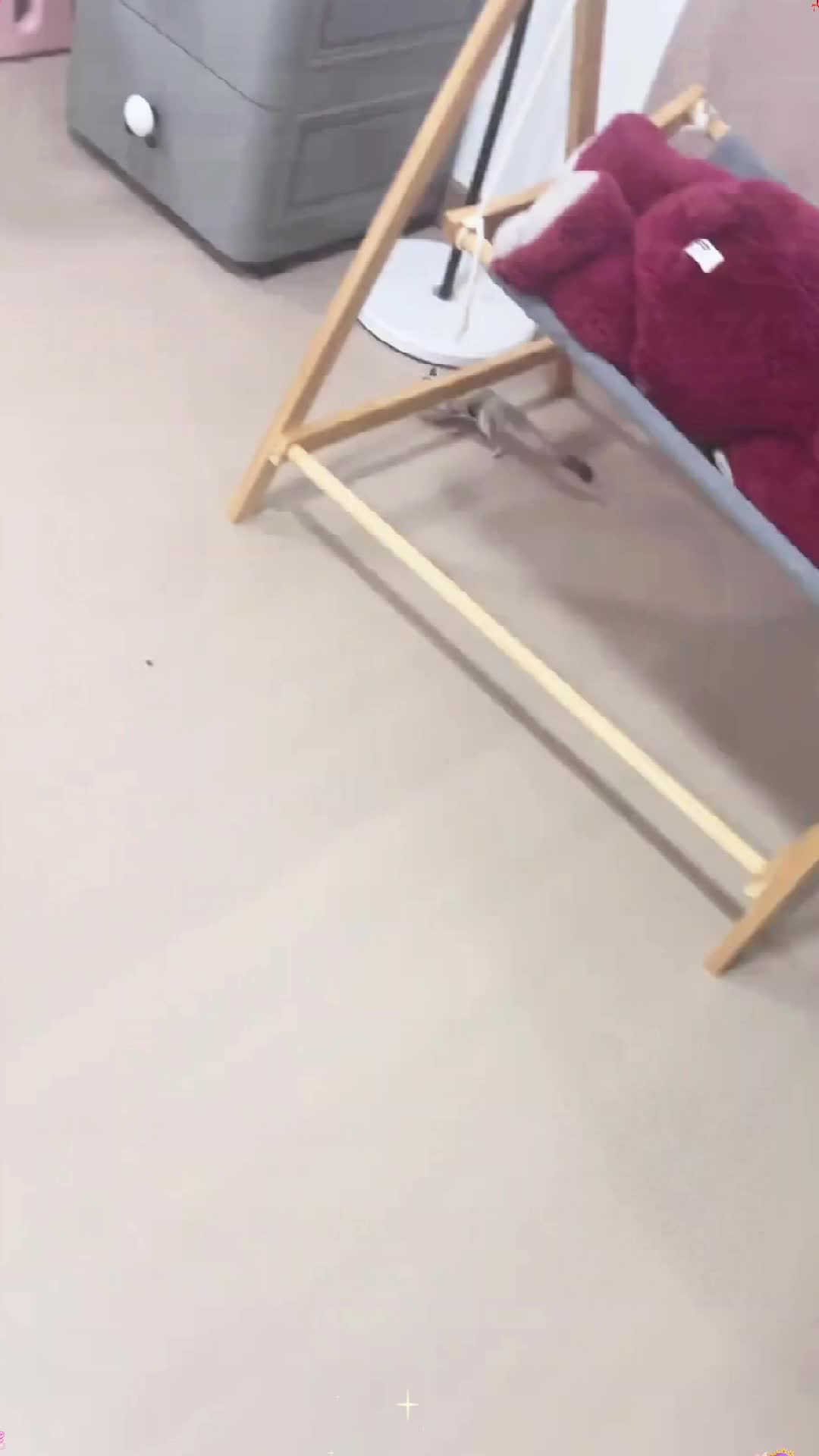 @sturgfzrp8k