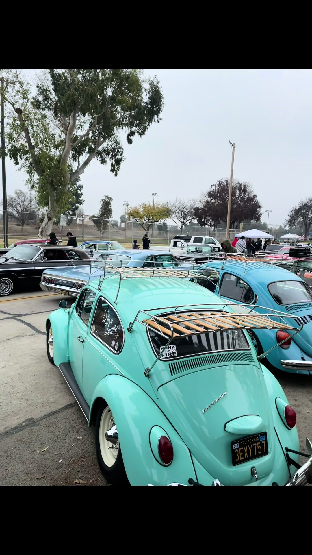 @letty_67vw