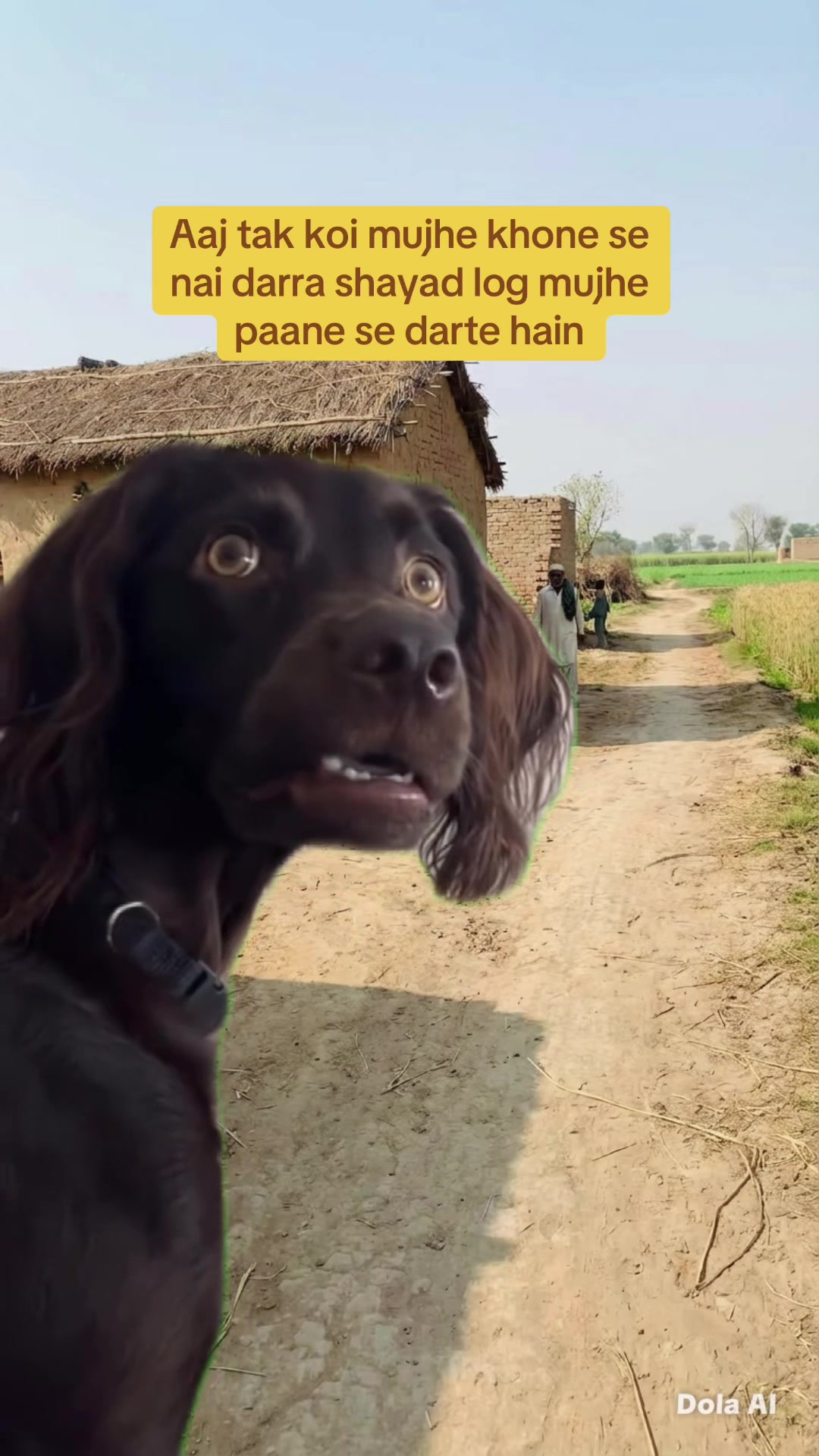@desi_memes5