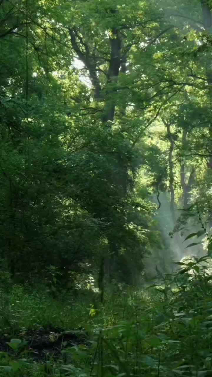 @Архитектор души