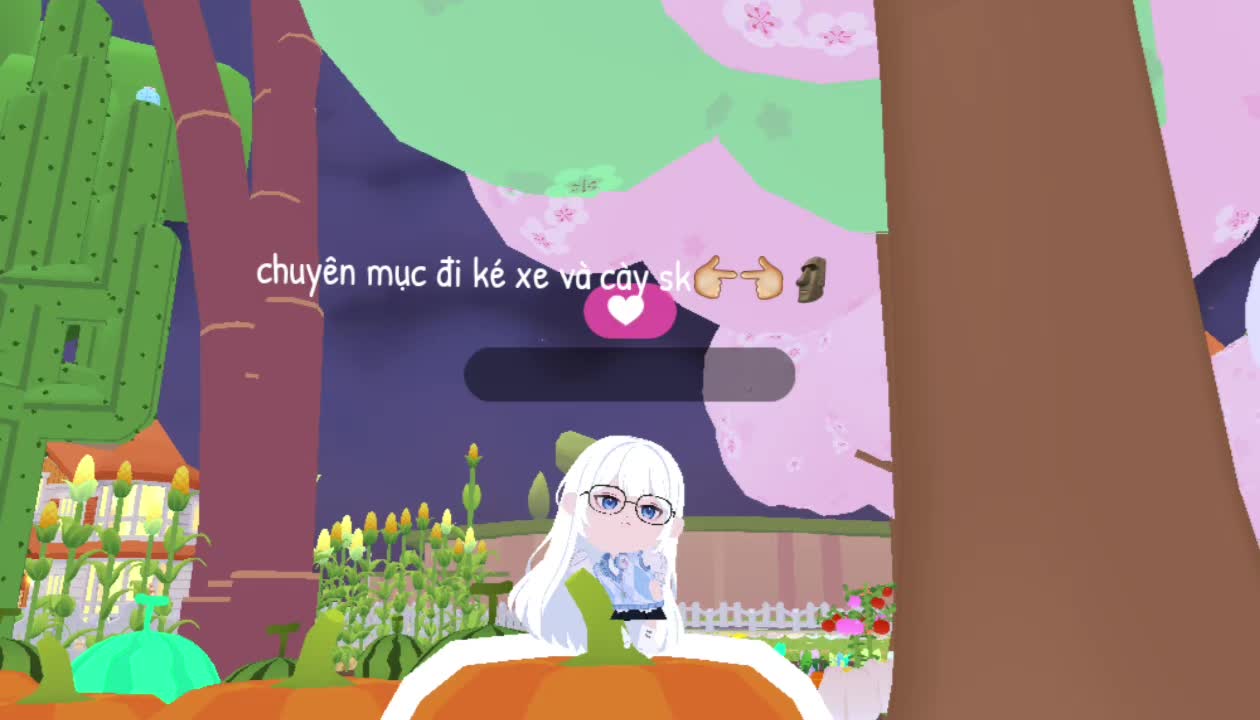 @Seaa.