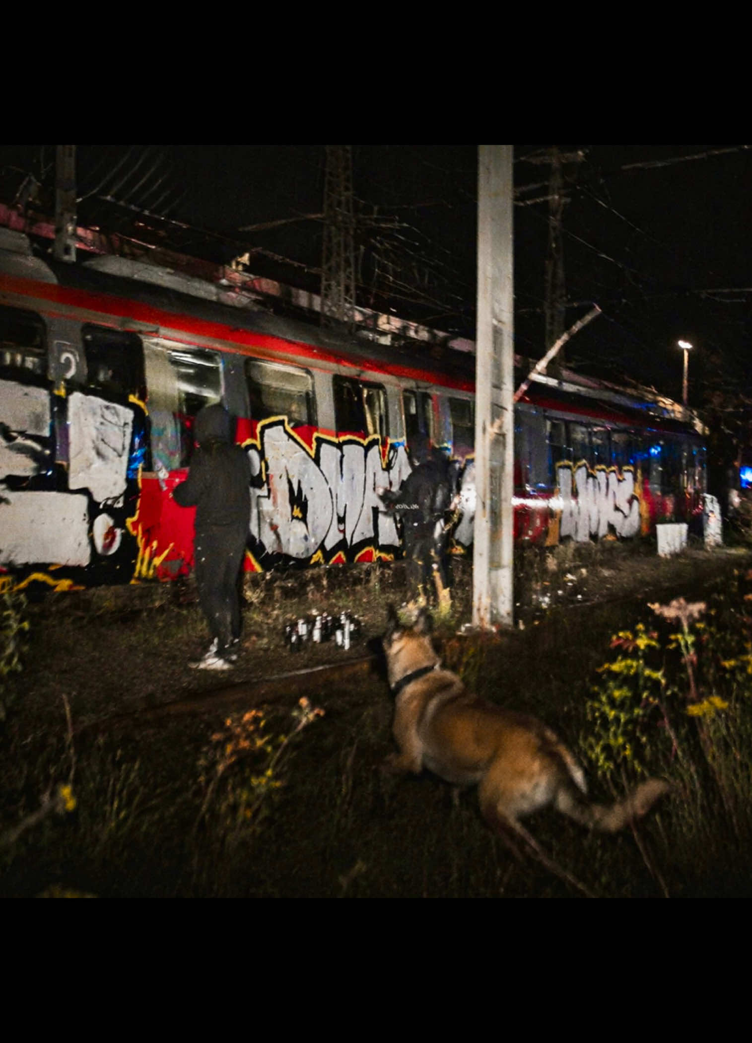 @DMARK GRAFFITI