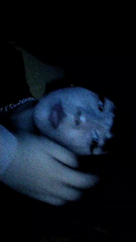 @mo&ntilde;e&ntilde;a🦥