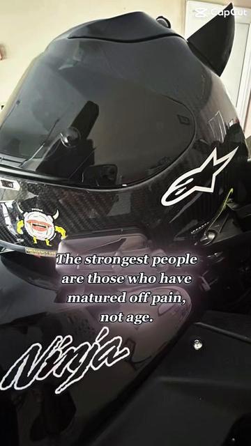 @KawaNinja_444_Sylvester
