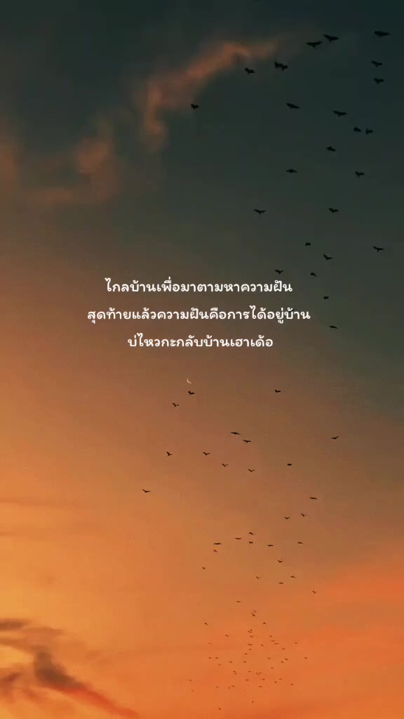 @pipat🌻🤍51.7K