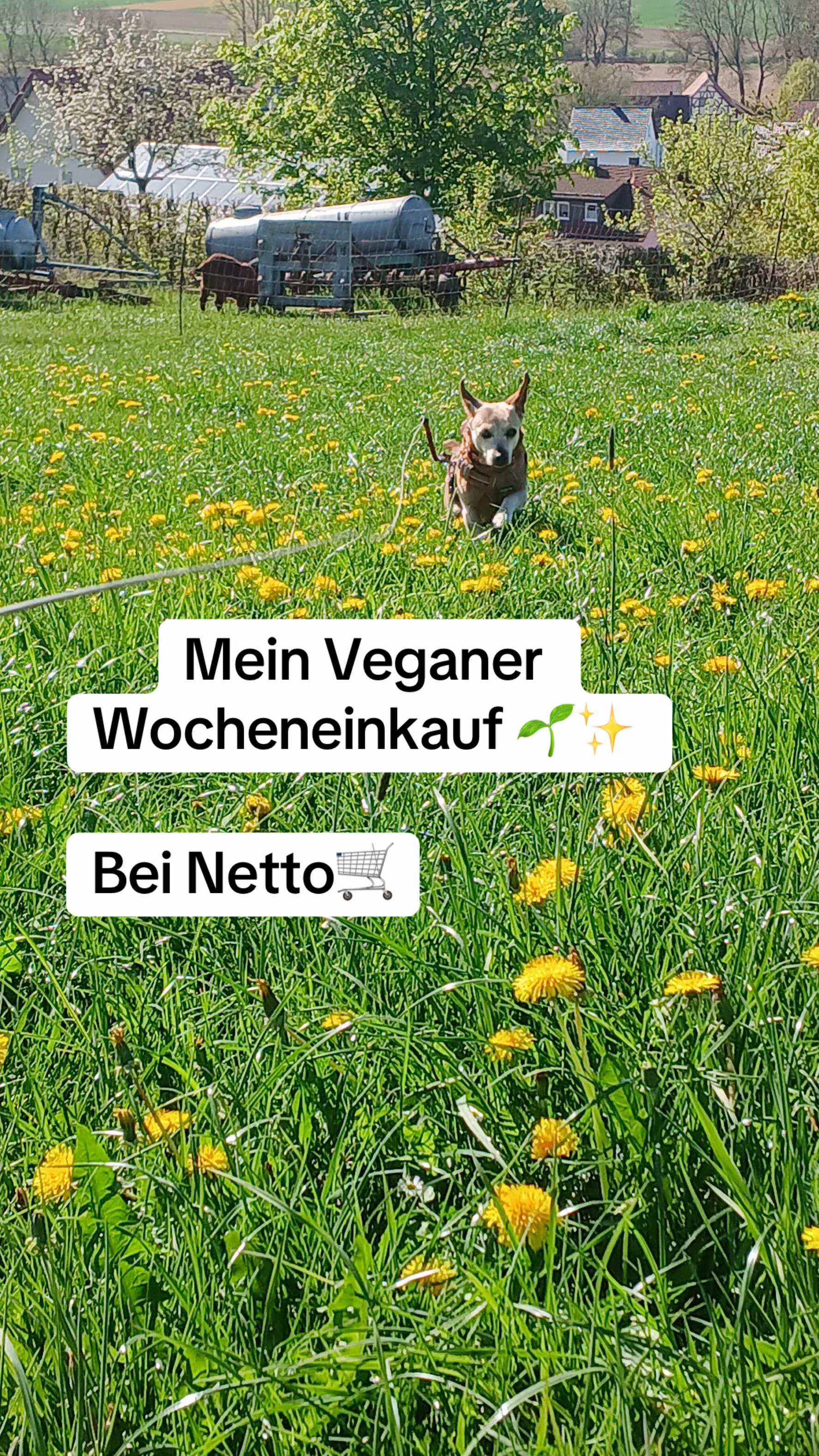 @Die Mit Dem Dackel Tanzt