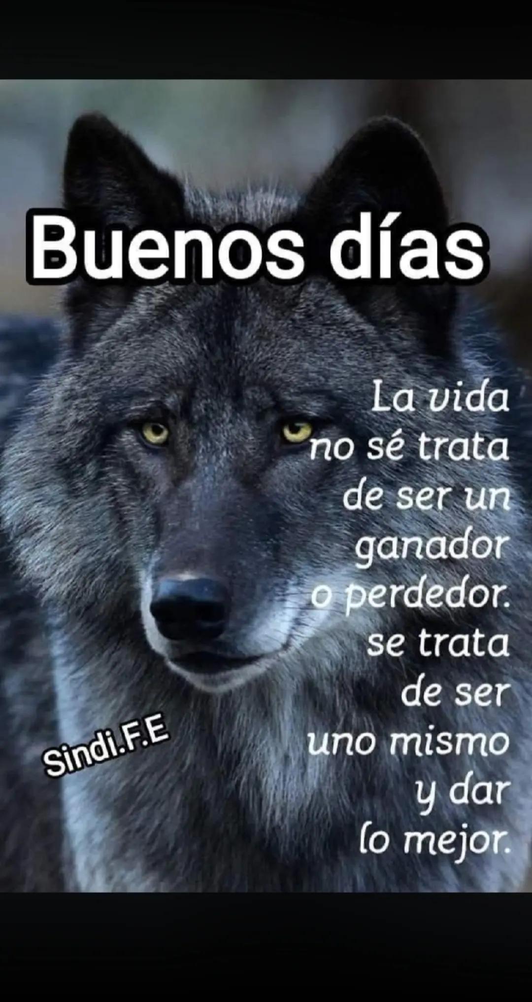 @🐺🐺 EMILIO loureda🔥🔥#