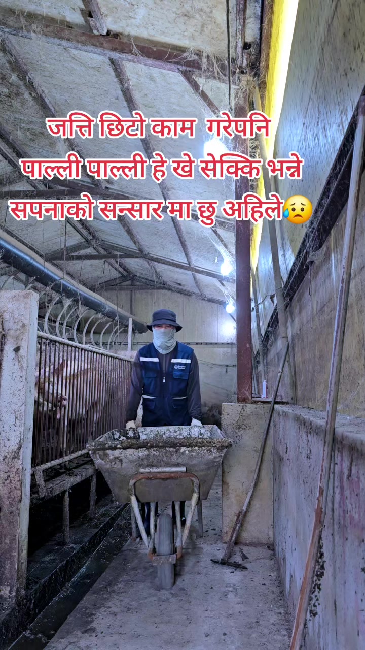 @कुबेर लिम्बु🇳🇵🇰🇷
