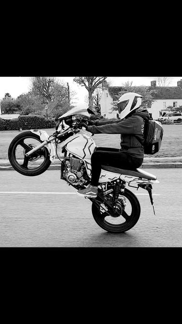 @Titchyrider_TheCyberPunkPigeon