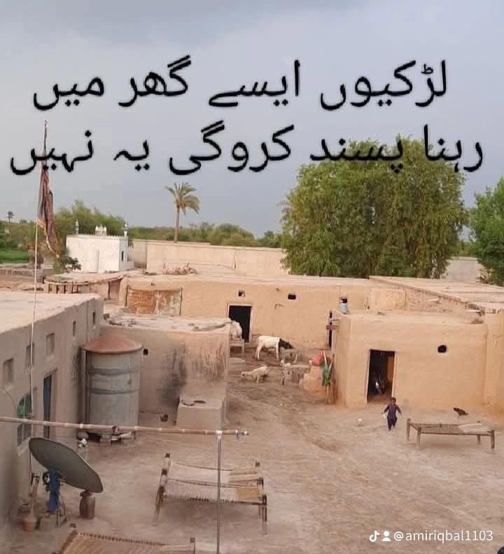 @amiriqbal1103