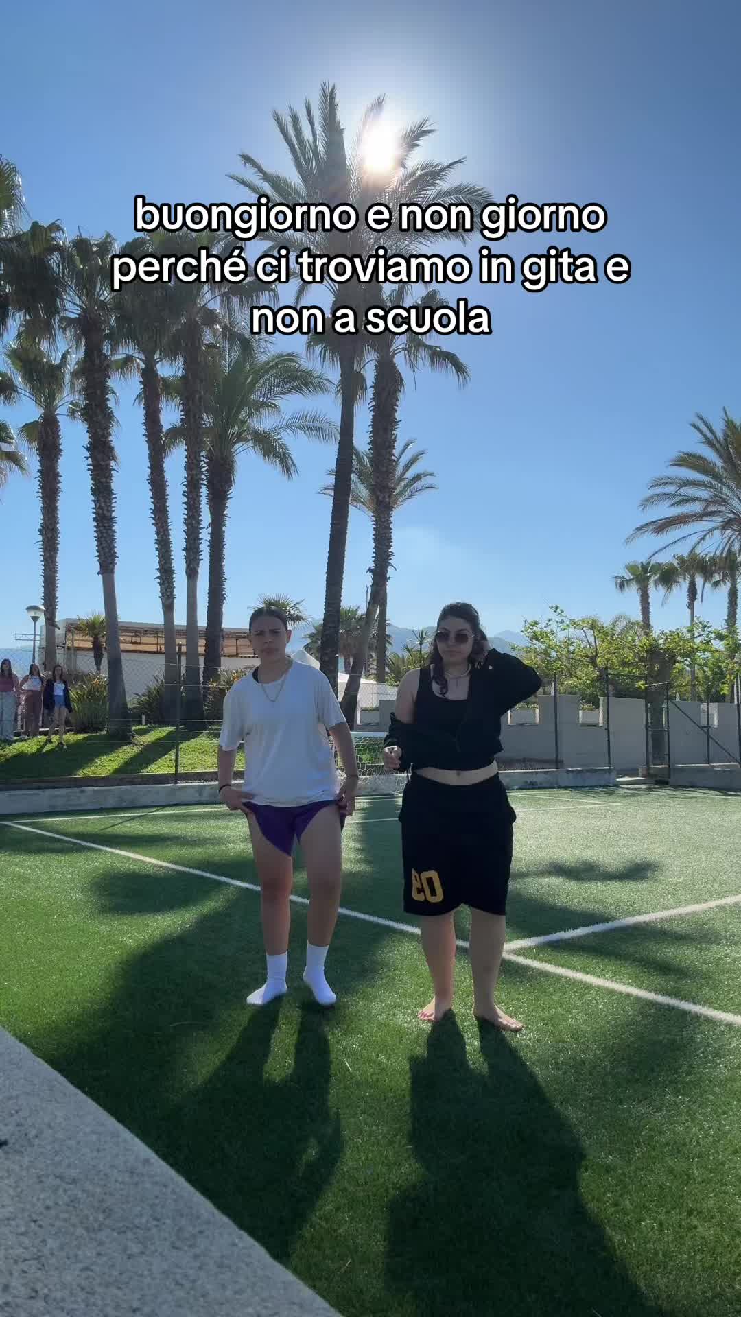 @manicomio.it