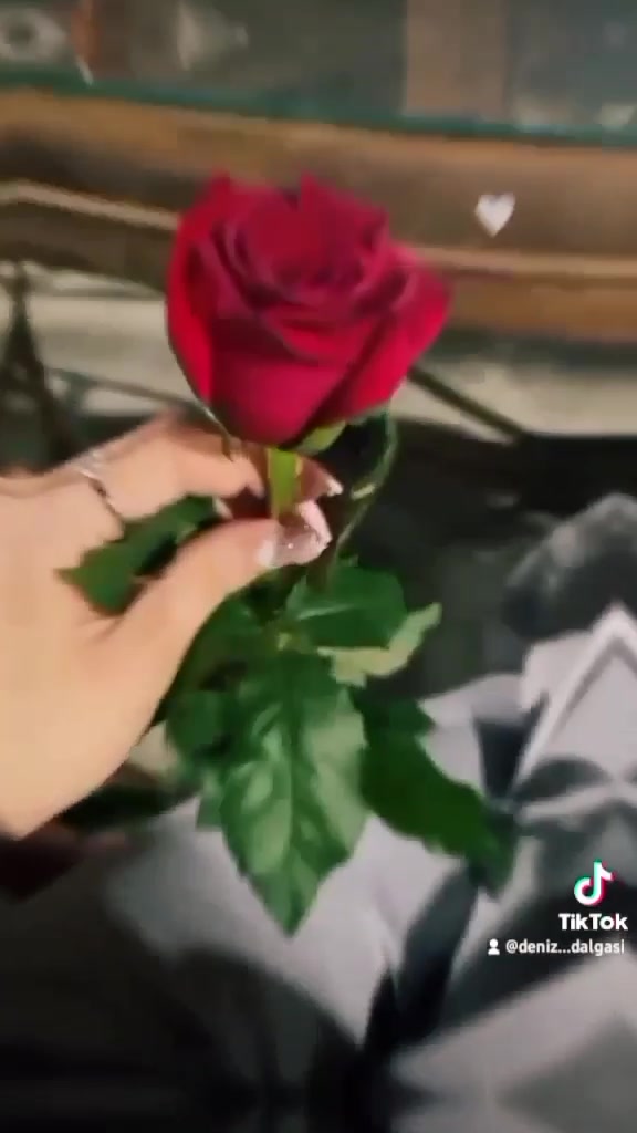@🧜&zwj;♀️SU PƏRİSİ🧜&zwj;♀️