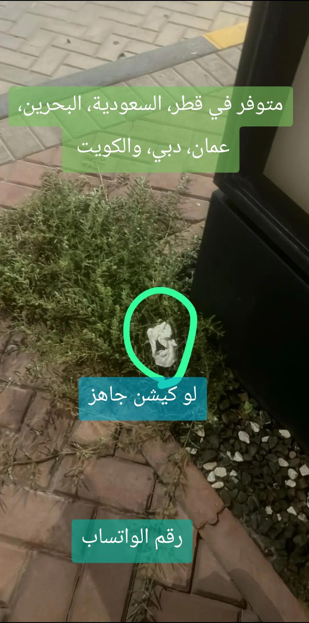 @محمد قاسم