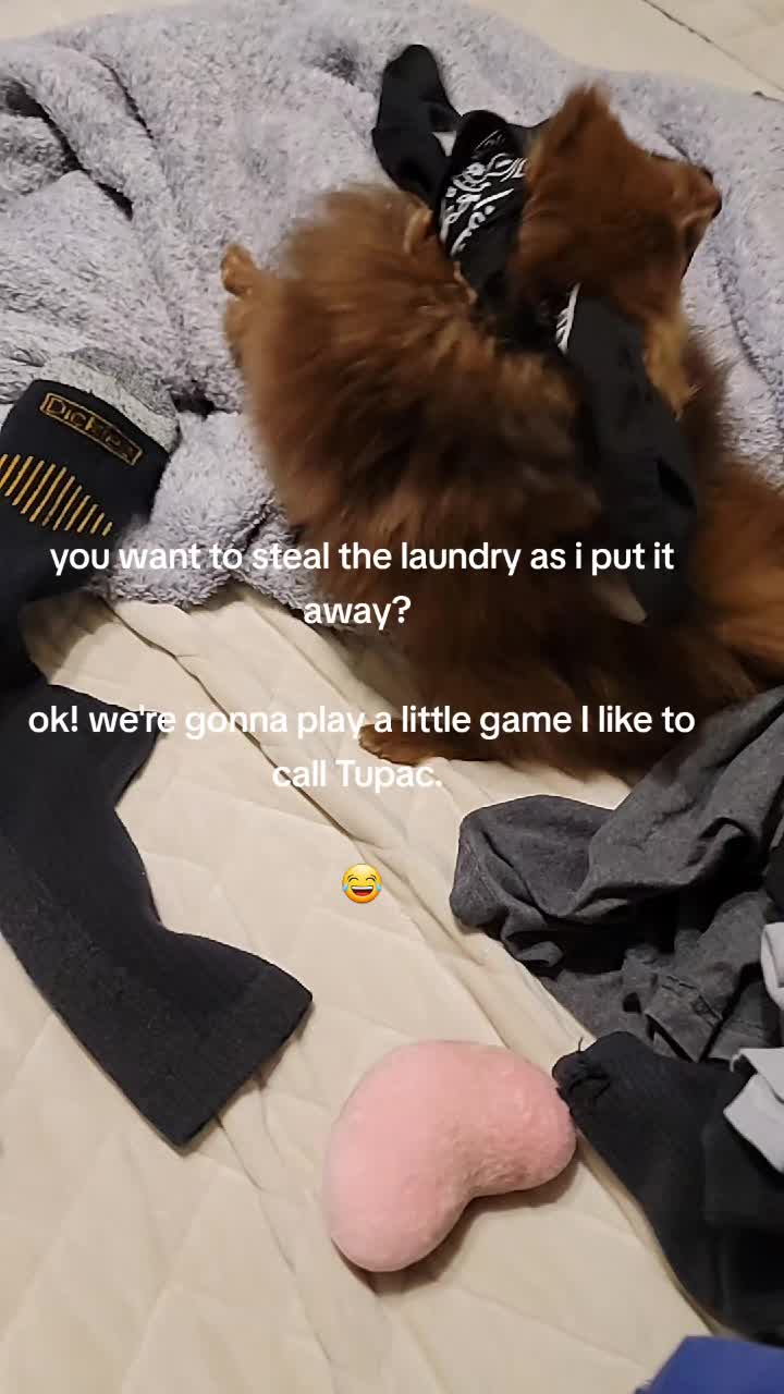 @theallnew