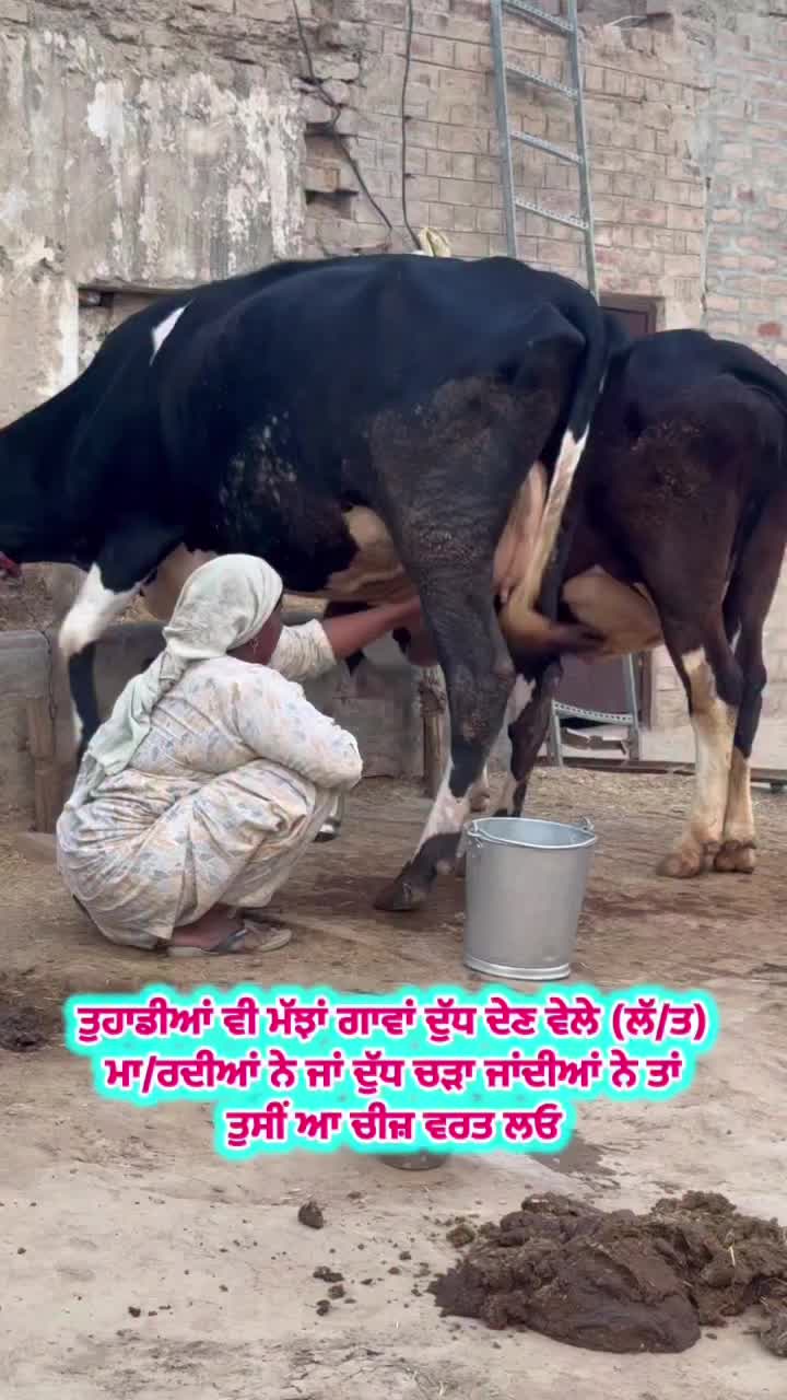 @Sidhu67