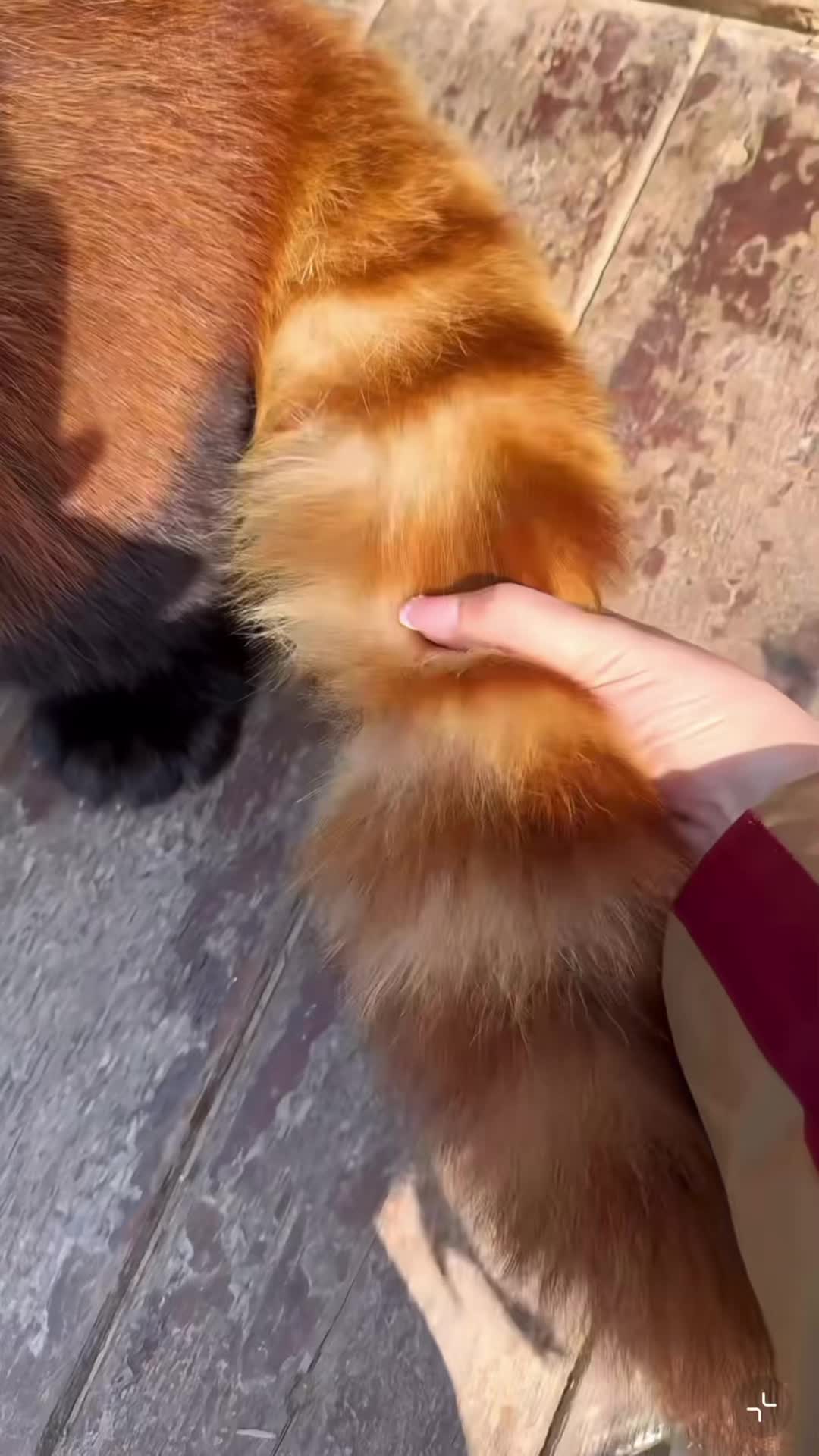@My Daily Dose of Aww
