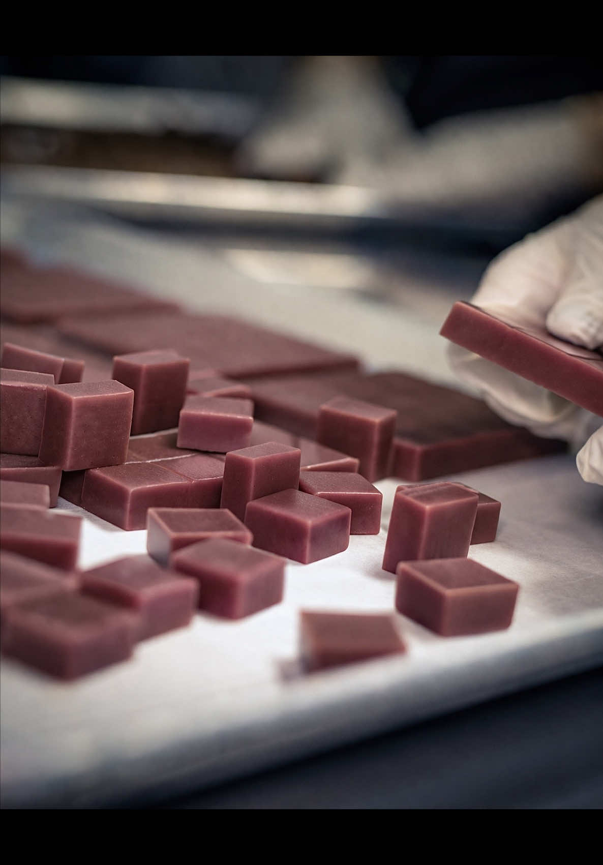 @Jean-Marie Auboine Chocolatier