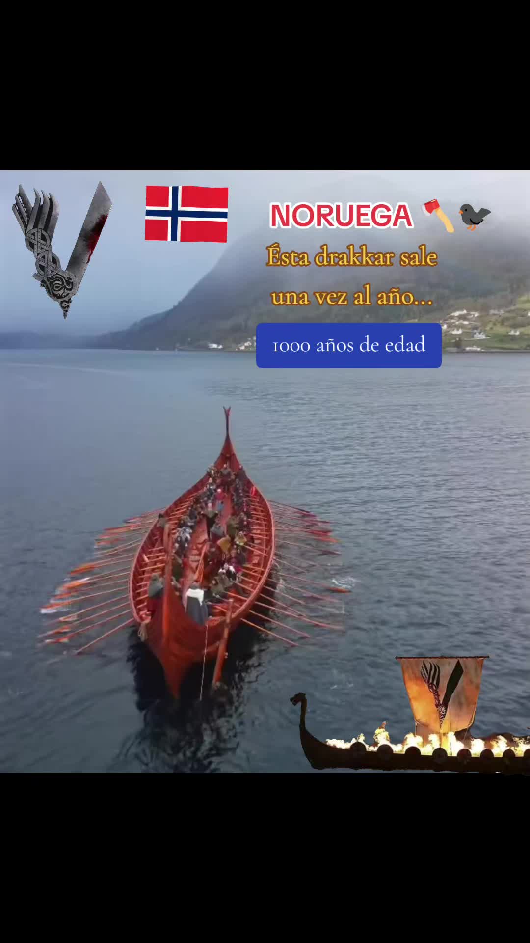 @capigrey🇮🇨