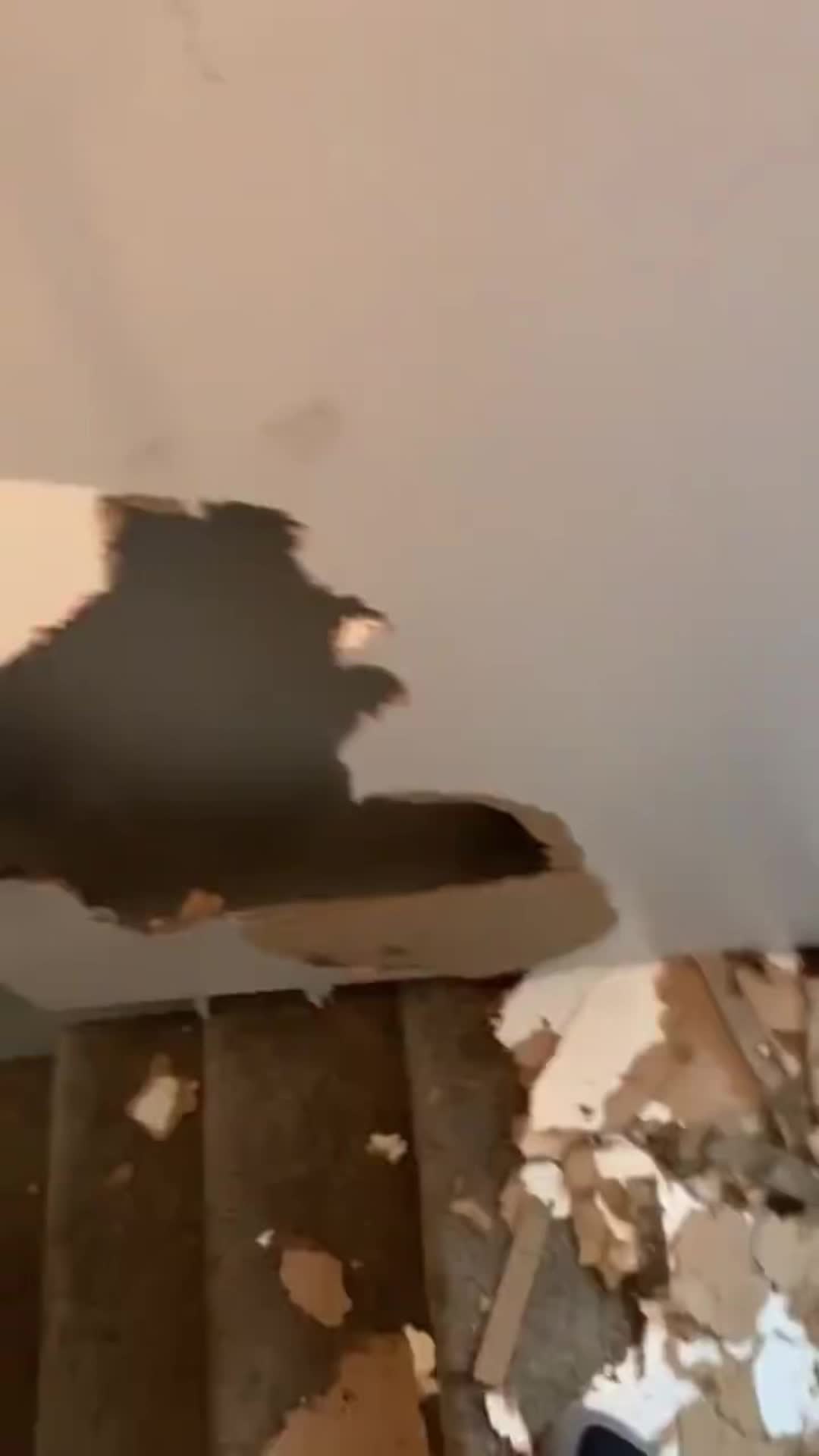 @FunnyAnimals