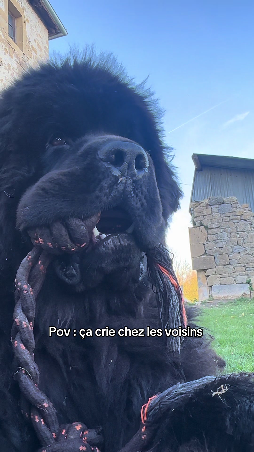 @ALBUS