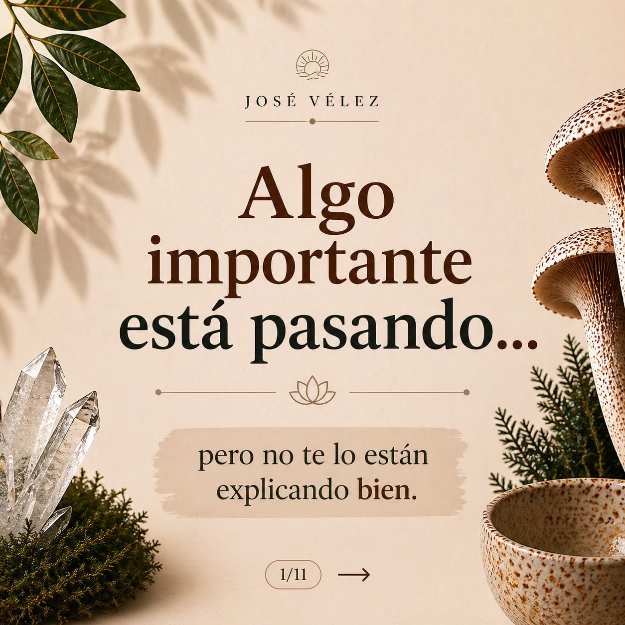@Jos&eacute; V&eacute;lez