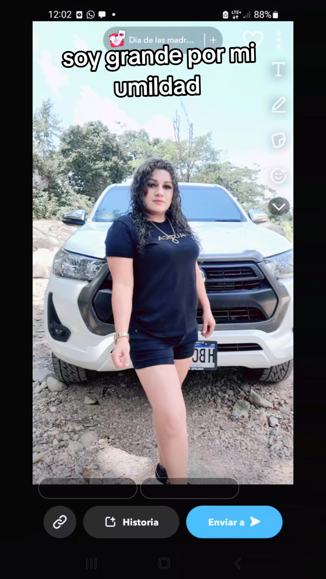 @gatasalvaje435