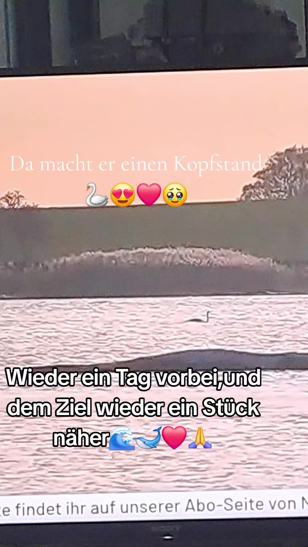 @ibrabo♡🐈&zwj;⬛🫶💞