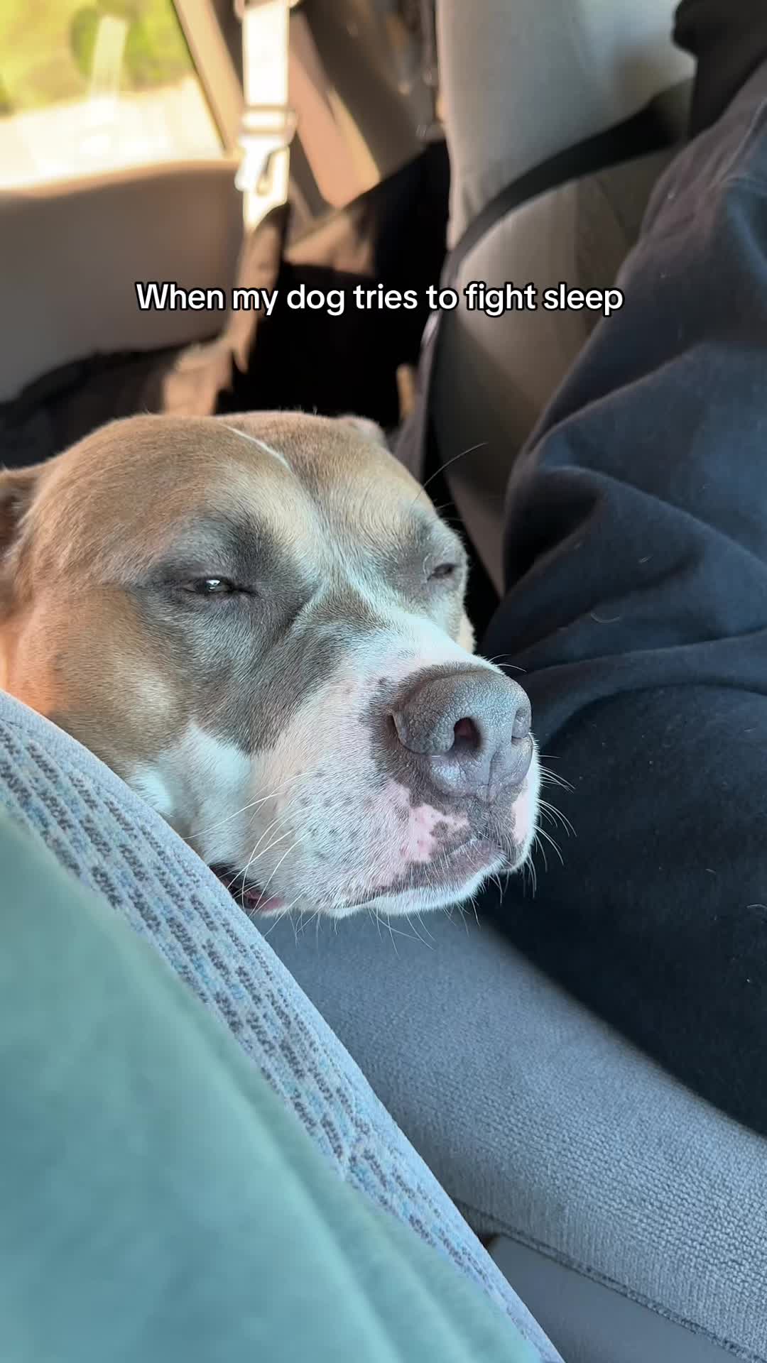 @Liz & Todd