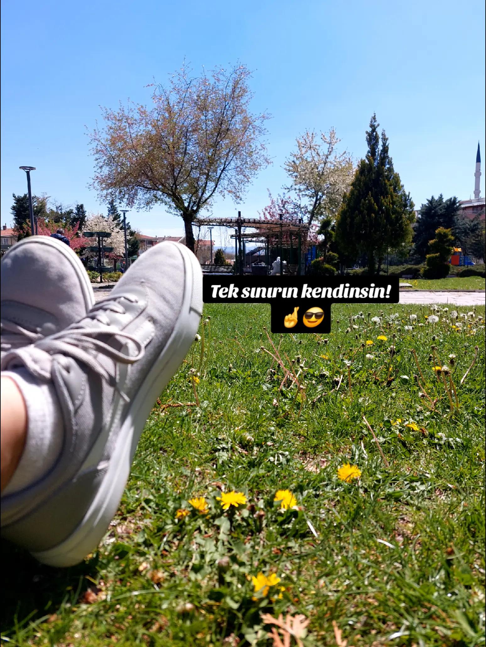 @Duygu