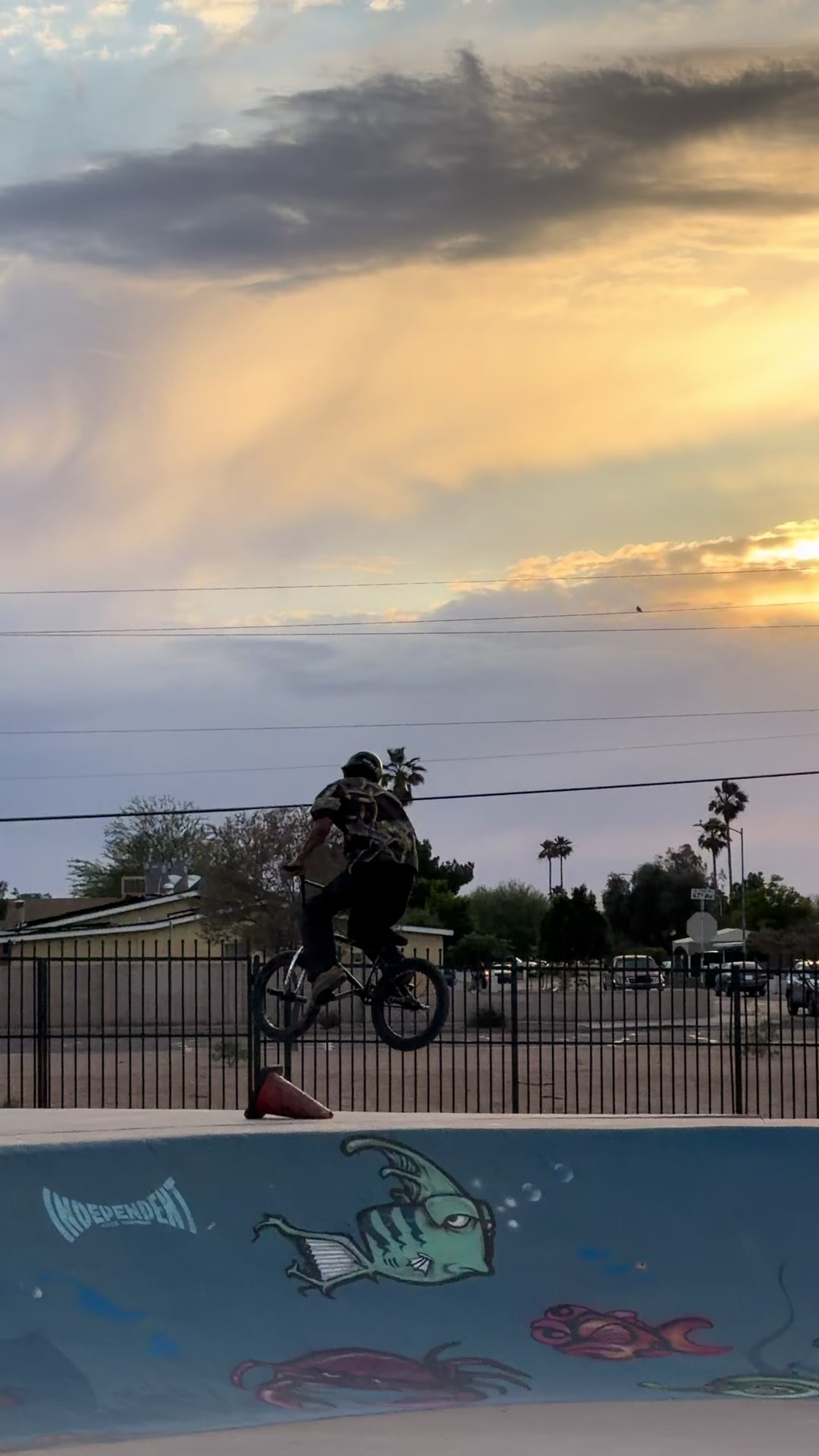 @_bmx_q