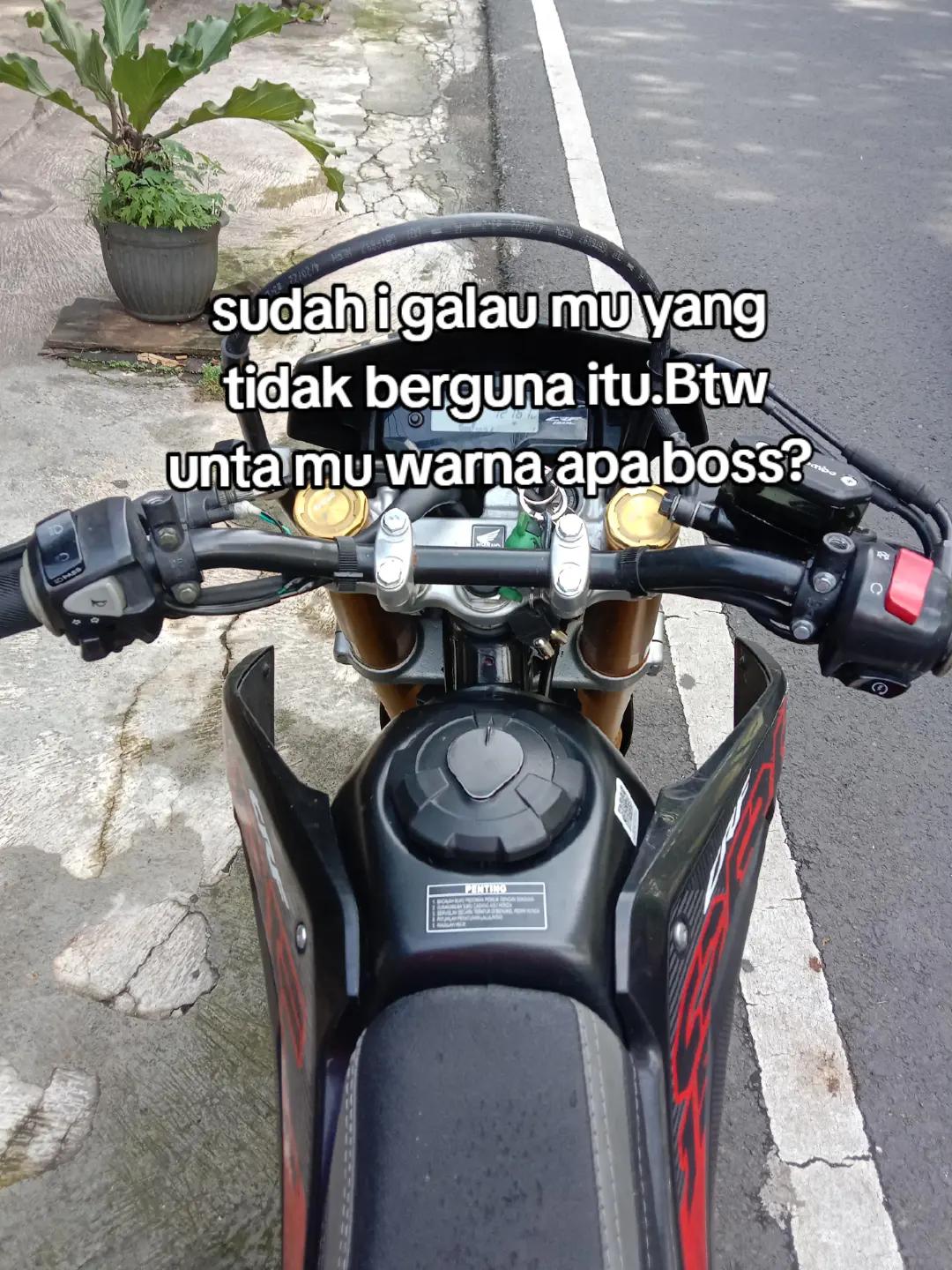 @Arek ˗ˋˏ𝐐ˎˊ- 🐒🔥